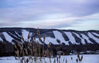 Boutique Suite #5 - 6