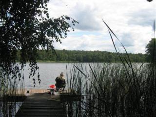 Pensjonat agroturystyczny Sosnówka - KOSARZYN - 2