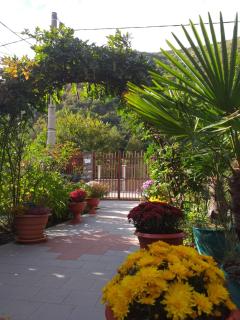 Pension Eden - Băile Herculane - 7