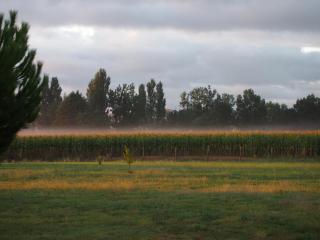 Domaine de Basse Chancelée - Ligré - 8
