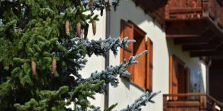 Chalet Barbara - Livigno - 2