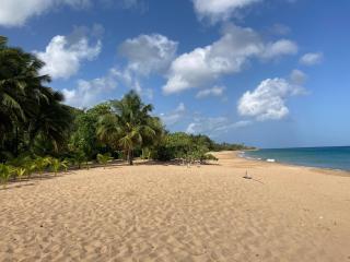 Coco-Mango Apt A - 8