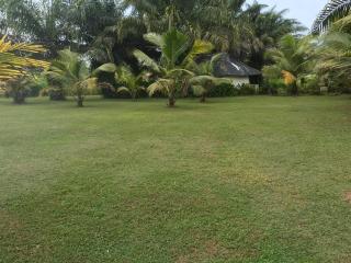 Green Zion Garden - 1