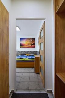 Apartman Nikola Trojanovice - Trojanovice - 8