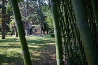 Hotel Villa Ciconia - Orvieto - 3