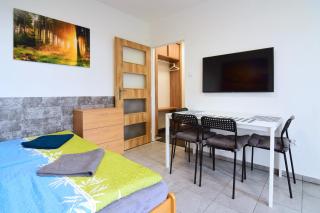 Apartman Nikola Trojanovice - Trojanovice - 4