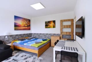 Apartman Nikola Trojanovice - 0