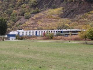 Ferienhaus MaLeFi 2 am Gülser Moselbogen - Coblenza - 6
