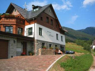 Pension Pohoda - 8