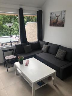 Terrasses de Malmedy Duplex LEANA LODGE 441 - Malmedy - 3
