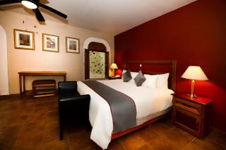 La Casona Tequisquiapan Hotel & Spa - Tequisquiapan - 8