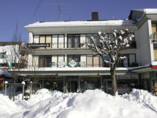 Gästehaus Café Heck Titisee - Titisee-Neustadt - 5