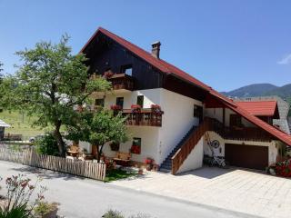 Apartments & Rooms Smučka - Kranjska Gora - 8