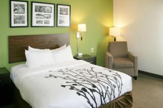 Sleep Inn & Suites Stony Creek - Petersburg South - Stony Creek - 5