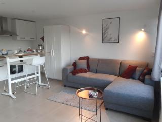 Terrasses de Malmedy Studio OSCAR 334 & Studio MARIA 330 - Malmedy - 7