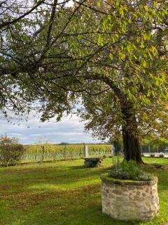 Le Jardin dans les vignes - Barsac - 2