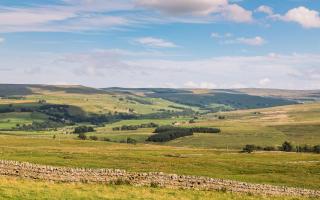 Alston House Hotel - 2