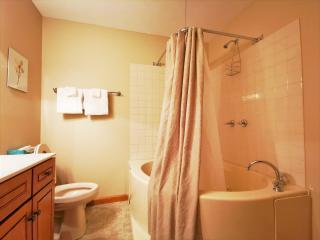 Gorgeous House for Ski Retreat or Mountain Vacations - Snowshoe - 3