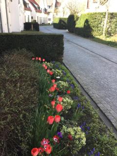 B&B Het Colettientje - 8