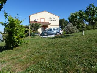 Gites des Camparros - Nailloux - 8