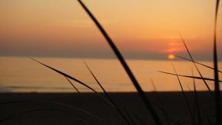 Vanagupės Terasa - Palanga - 4