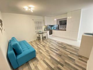 Apartament BLUE - 8