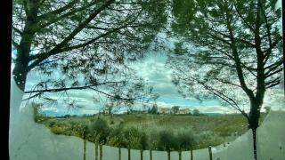 AGRiCAMPiNG POGGiO Ai PiNi WiNE CAMPiNG - Certaldo - 6