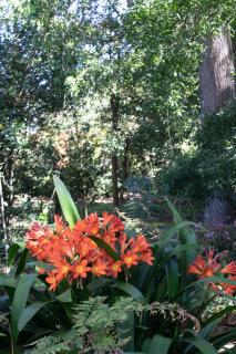 Andelomi Forest Lodge - Stormsrivier - 9