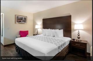 Downtown Hollywood Gardens Inn & Suites - Hollywood - 8