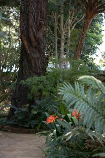 Andelomi Forest Lodge - Stormsrivier - 3