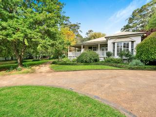 Mirrabooka Burrawang - Burrawang - 0