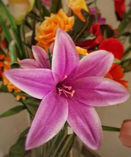 A un passo dal centro - Palerme - 9