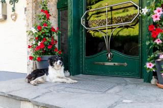 Ganzenhubhof - Goldegg - 7