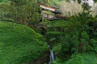 Dua Dari, a Residence by Hadiprana - Ubud - 7