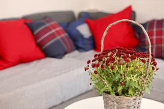 ALP APARTMENTS centre location with traditional design and self check-in - Engelberg - 1