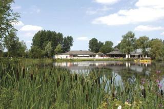 Duckling View - 5
