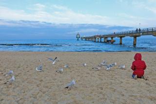 Blaue Lagune - Zinnowitz - 2