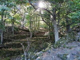 Ambroz y Plata - Aldeanueva del Camino - 7