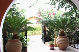 Villa Nefeli - Agios Georgios - 4