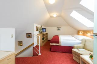 Hotel Gisela - Bad Gastein - 2