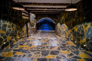 Eco Winery Lipovac Apartments - 1