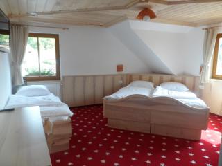 Hotel Planinka - 9