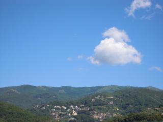 Genovese Villa Elena Appartamenti - Varazze - 4