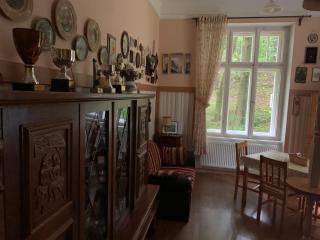 Dream appartment for a nice holiday with a bedroom and living room! - Mariánské Lázně - 9