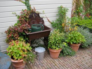 Villa Augustus - Dordrecht - 8