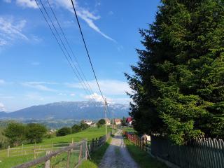 Vila Panoramic Pestera - Peştera - 7