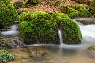 Landgasthof Hieren Mühle - 6