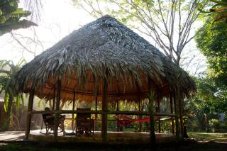 Turtle Beach Lodge - Tortuguero - 9