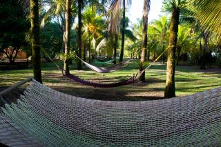 Turtle Beach Lodge - Tortuguero - 7