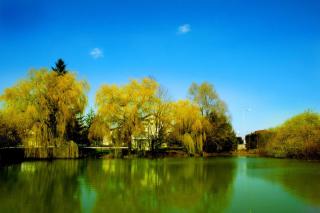 Motel des Bruyères - 5